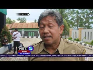 Enam Orangutan Kembali Dilepasliarkan ke Hutan - NET5