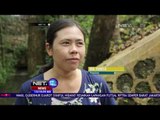 Gua Tanding Surga Liburan di Gunung Kidul - NET12