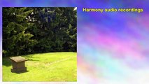 Harmony audio recordings