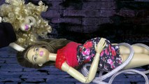 Jeunes filles pour jouets dessin animé avec saison série vidéo poupées Barbie Ken Steffi 31 Mars