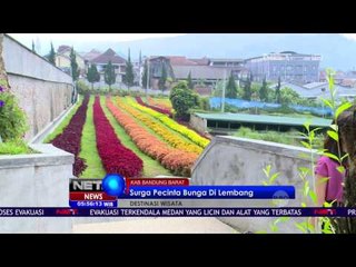 Rainbow Garden Surga Pecinta Bunga di Lembang NET5