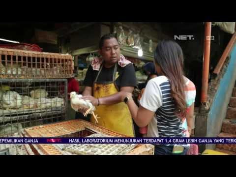 6 Tipe Pembeli di Pasar Versi #MissNyinyir NET16