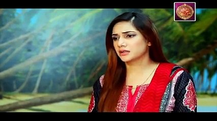 Bay Gunnah Episode 273