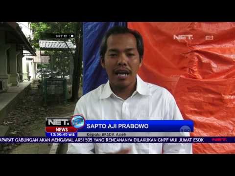 Penyelamatan Beruang Madu yang Terinfeksi Akan Diamputasi NET12