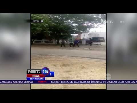 200 Napi Rutan Sialang Bungkuk Kabur - NET16