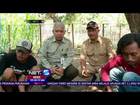 Program Perubahan Membawa Desa Kohod di Tangerang Ditetapkan Sebagai Desa Sejahtera - NET5
