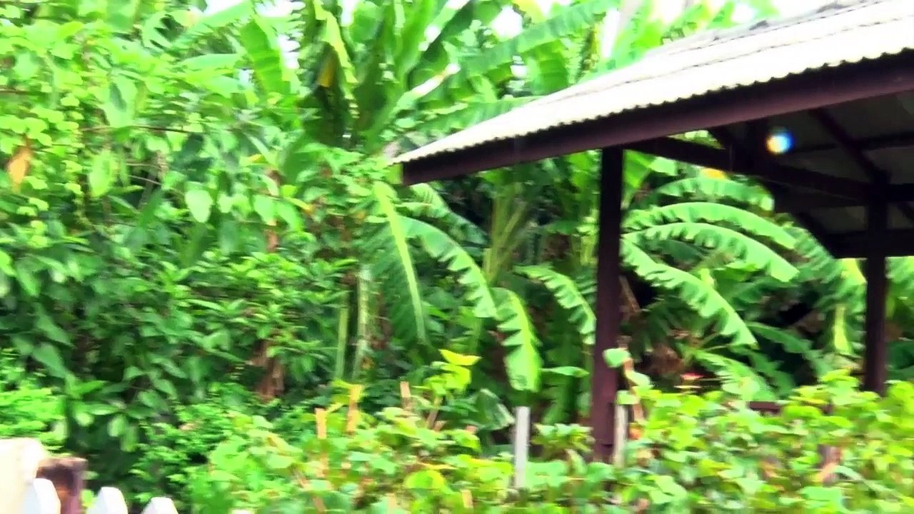 ชุมชนบ้านปูน บางยี่ขัน