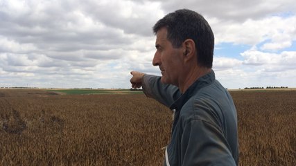 Récoltes brûlées, et après ?