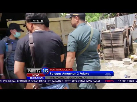 Petugas Amankan Dua Pelaku Perdagangan Satwa Langka - NET16