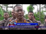 Polisi Temukan 4 Hektar Ladang Ganja di Aceh - NET24