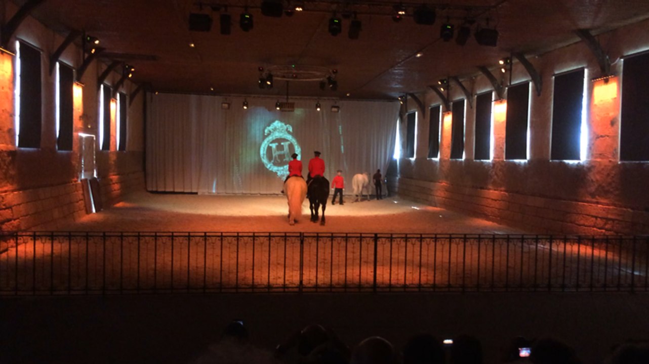 Portes ouvertes au Haras du Pin