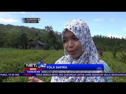 Wisata Labirin yang Jadi Daya Tarik Pengunjung - NET12