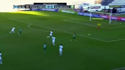 0-1 Alejandro Guerra Goal HD - Ponte Preta vs Palmeira 25.06.2017 HD