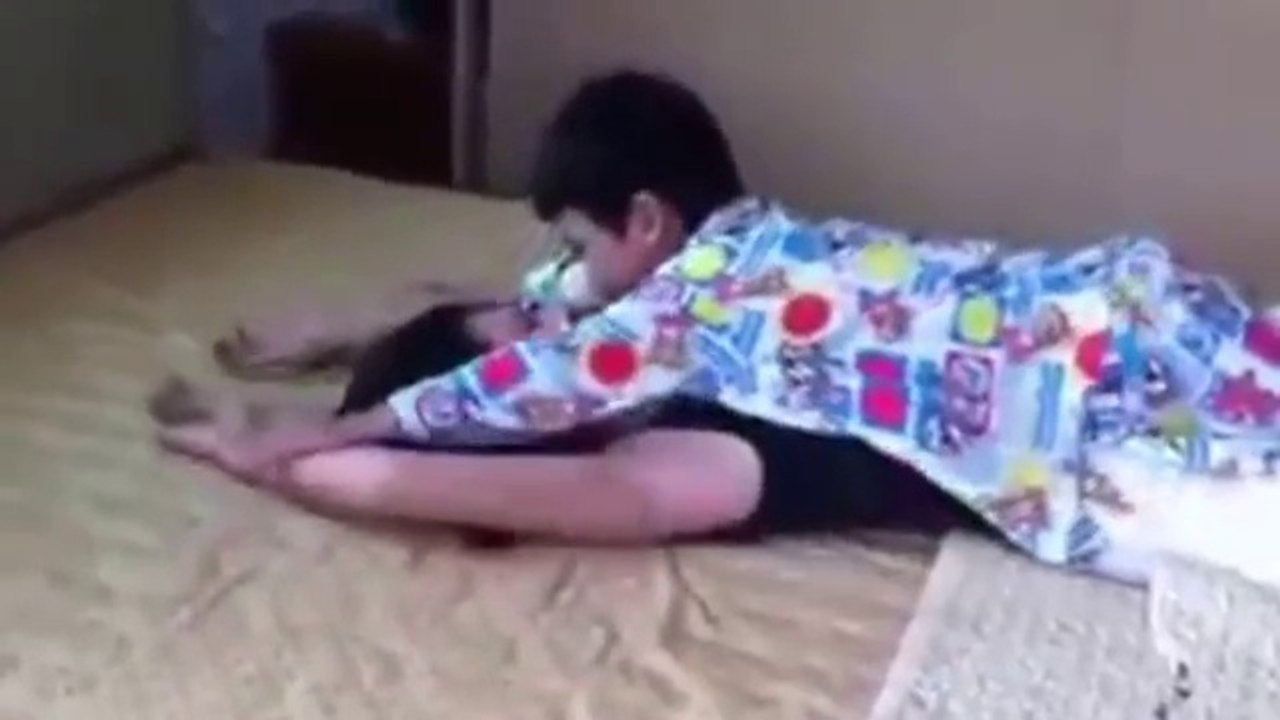 Funny videos 2017 funny Kiss try not to laugh challenge