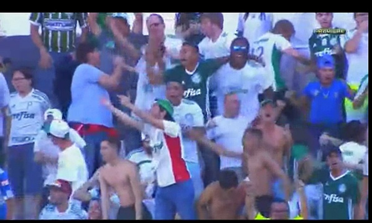 Ponte Preta - Palmeiras 1-2
