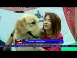 Kontes Anjing Ras - NET12