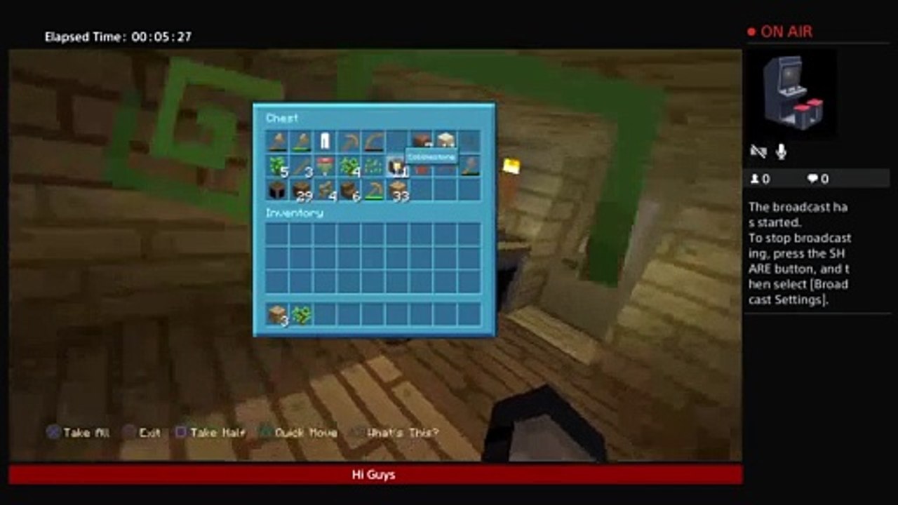 Minecraft (10)