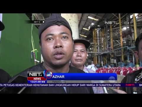 Tradisi Unik Kawin Tebu Sambut Musim Panen NET12