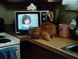 Trick or Treat (1986) - VHSRip - Rychlodabing
