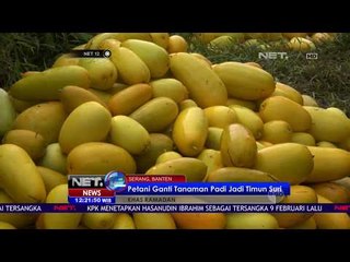 Timun Suri Khas Ramadan - NET12