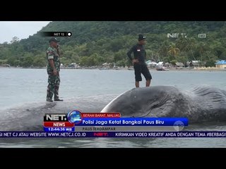 Télécharger la video: Polisi Jaga Ketat Bangkai Paus Biru - NET12