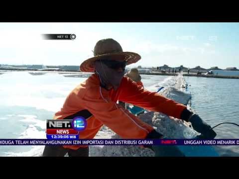Garam yang Memiliki Ragam Baik dari Kandungan Maupun Fungsinya - NET12