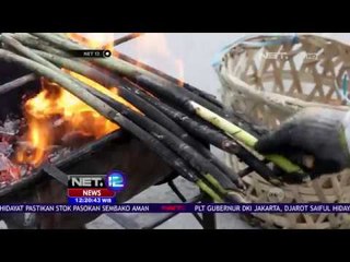 Rotan Muda Khas Tapanuli -  NET12