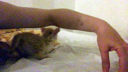 Choji joue comme un petit fou