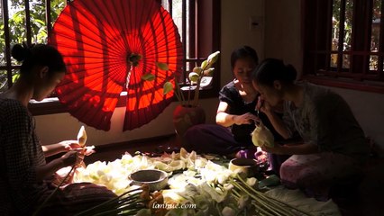 Phương pháp ướp Trà Sen - How to Scent Tea with Lotus Blossoms