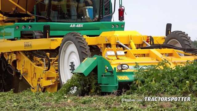 Potato Harvest PLOEGER AR-4BX + Fendt & New Holland Demijba Van Peperstraten