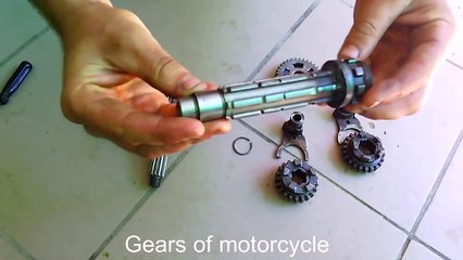 Tracked mini dumper. Gearbox