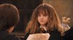 Vingt ans après le 1er tome d'Harry Potter, Hermione Granger est toujours une icône féministe