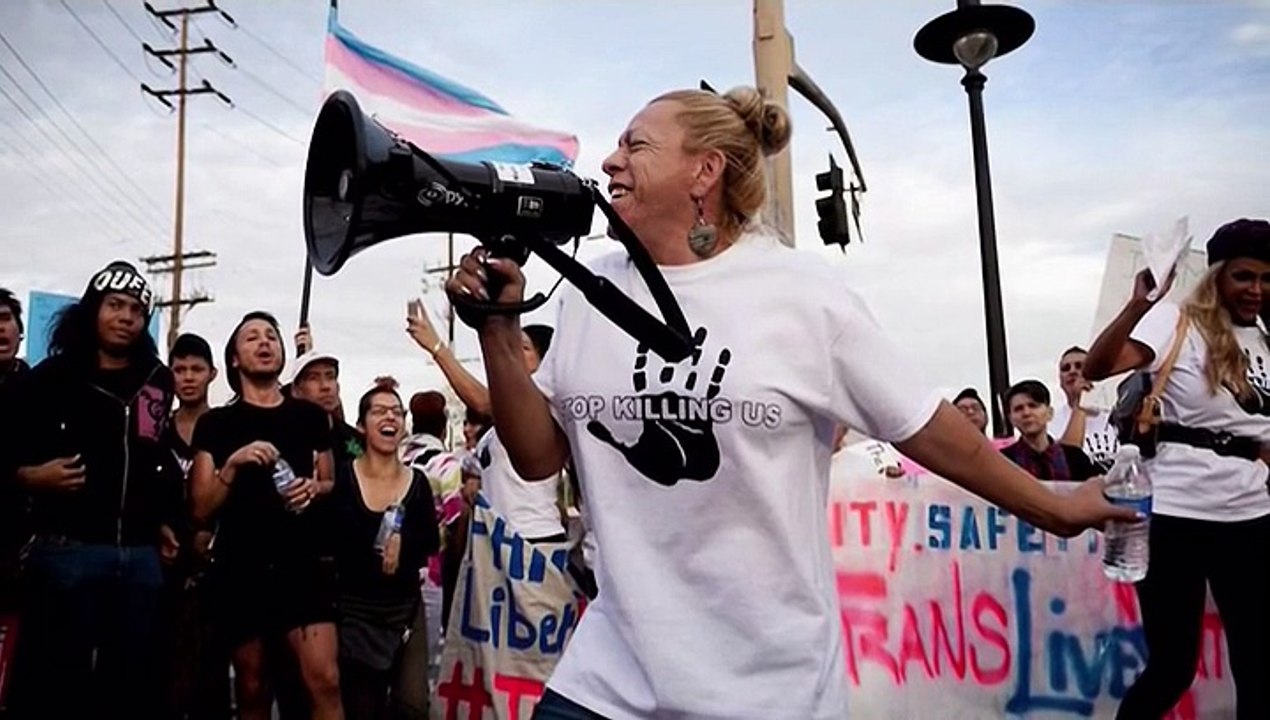 The Trans List 2016
