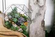 Make geometric glass box for terrarium decor DIY