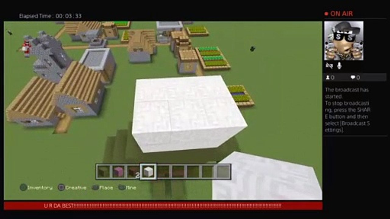 Minecraft (14)