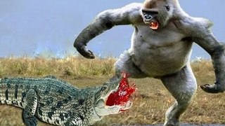 Monkey vs. Crocodile vs. Tigers