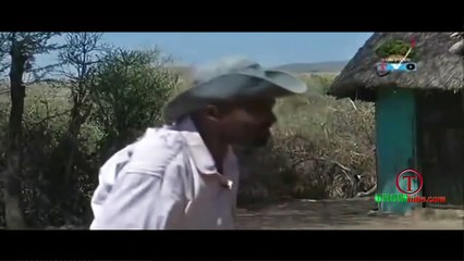 New 2017 Oromo Short Film   Diraama Gabaaba   Qorqoorroo-