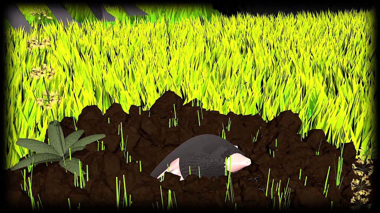 Les pesticides