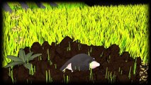 Pesticides