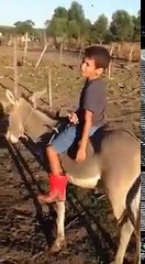 Menino Vaqueiro Cantando Um Vaquejada