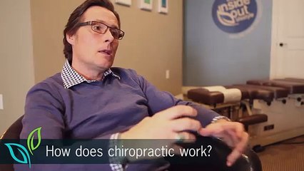 How Stress Effects Your Body and Nervous System - Optimize Healing Centre