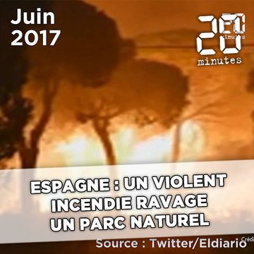 Espagne : Un violent incendie ravage un parc naturel