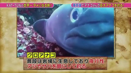 KAT-TUNの世界一タメになる旅  98089023