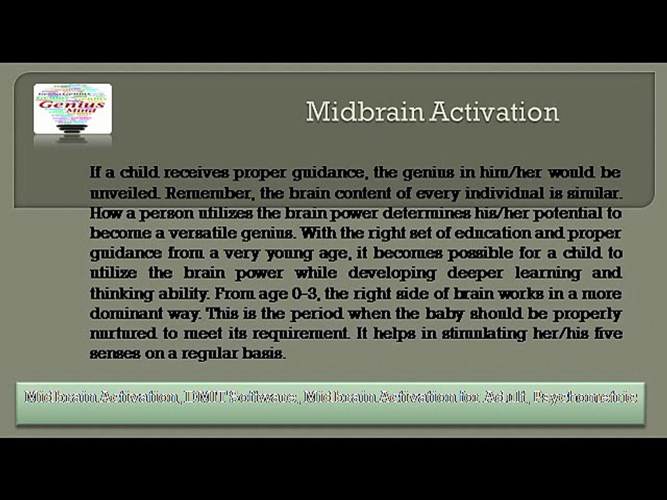 Midbrain Activation Training Process