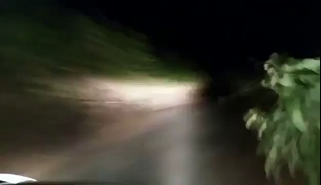 Four Indian Tourists Filmed Chasing Baby Lion