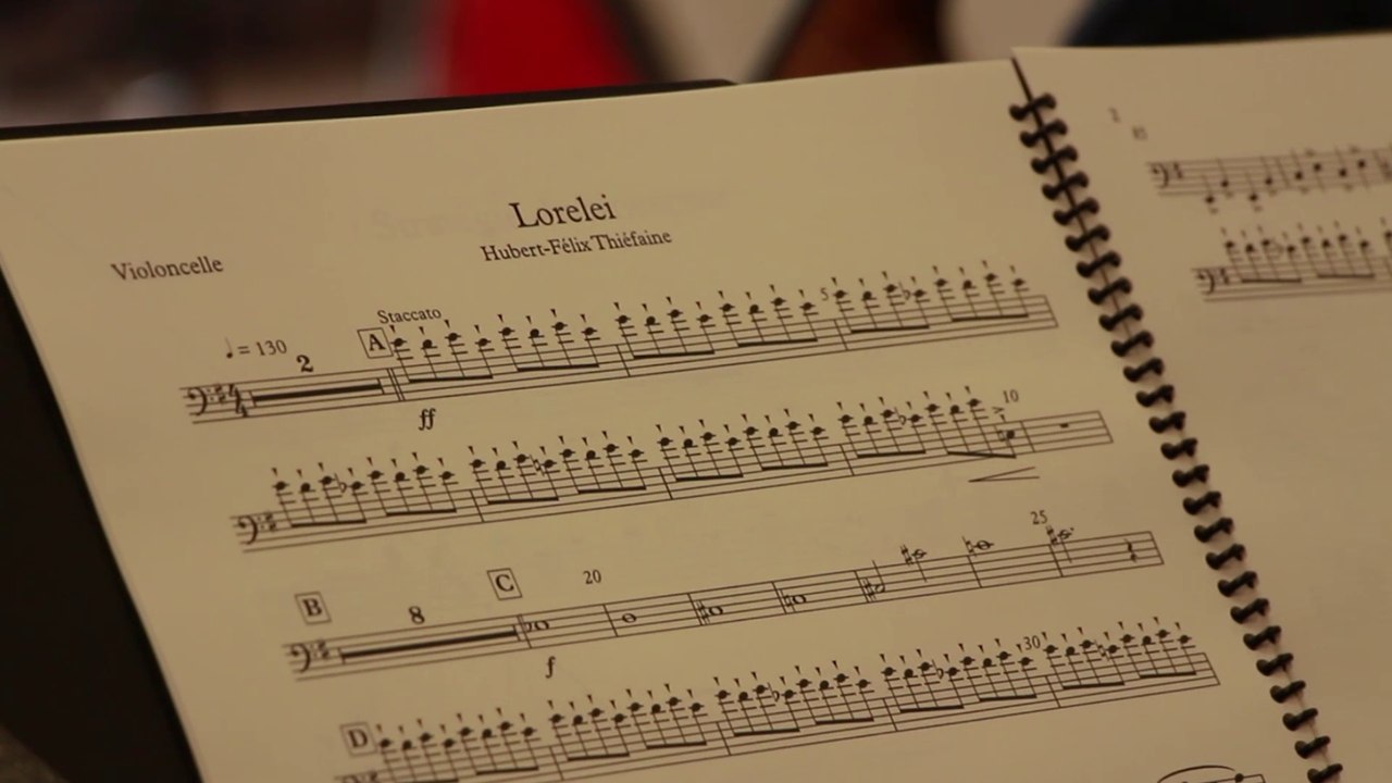 Hubert-Felix Thiéfaine et l'Orchestre Régional de Normandie (Lorelei) - Beauregard #9