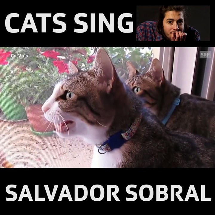 Miar pelos dois, nova versão de Salvador Sobral