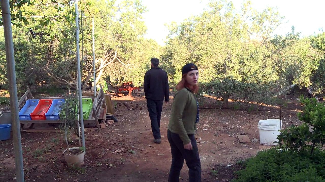 Singvögel - eine verbotene Delikatesse