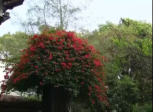 Pobre Diabla - Capítulo 93 (Azteca Novelas)