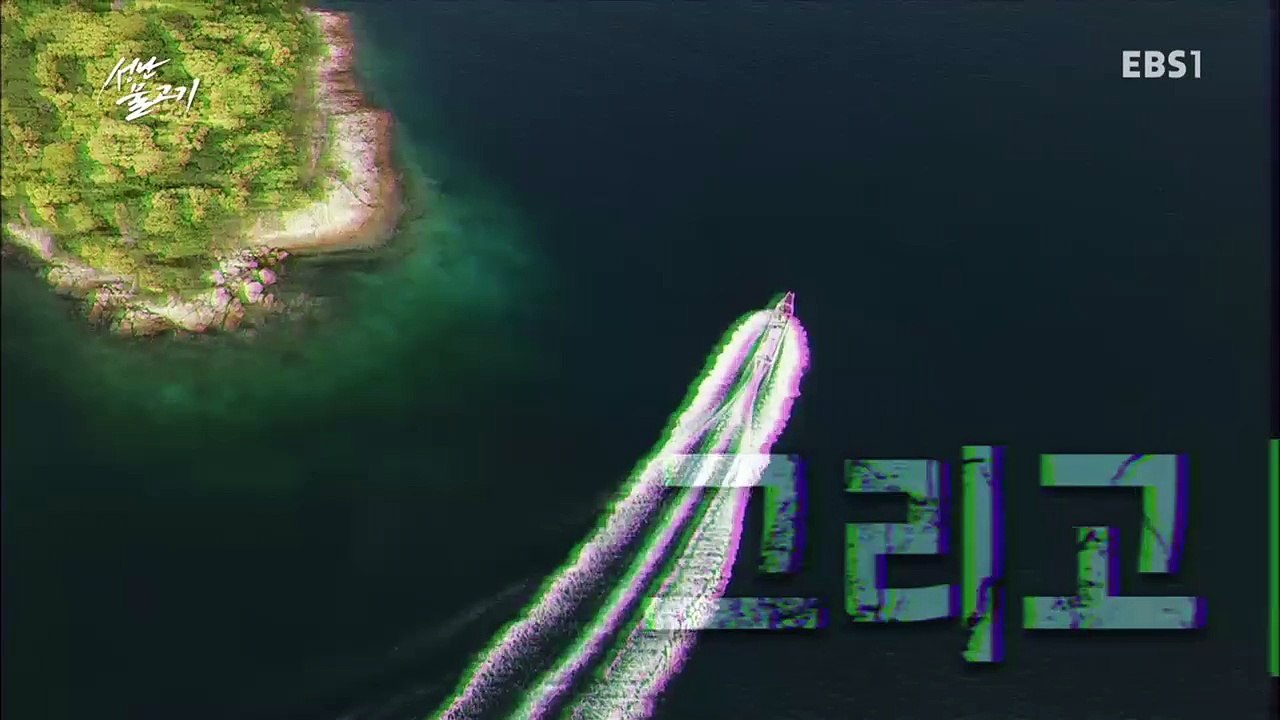 성난 물고기 - 최후의 대결! 응답하라, 돌돔_#001